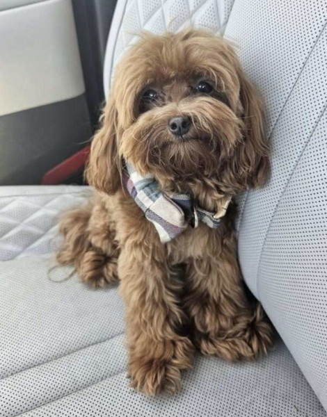 Winston