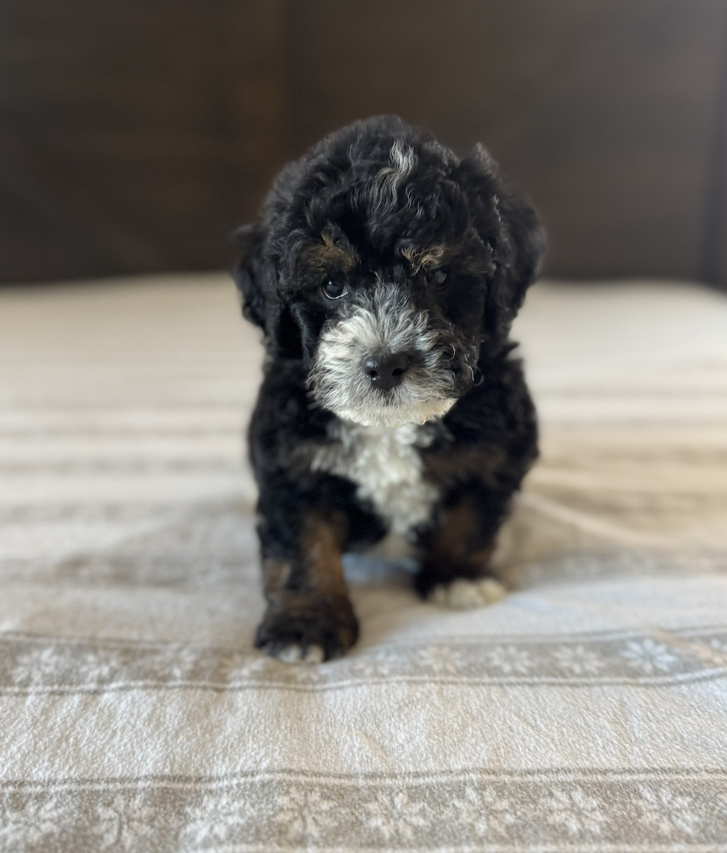 Screenshot 2025-09-24 at 11.31.30 AM